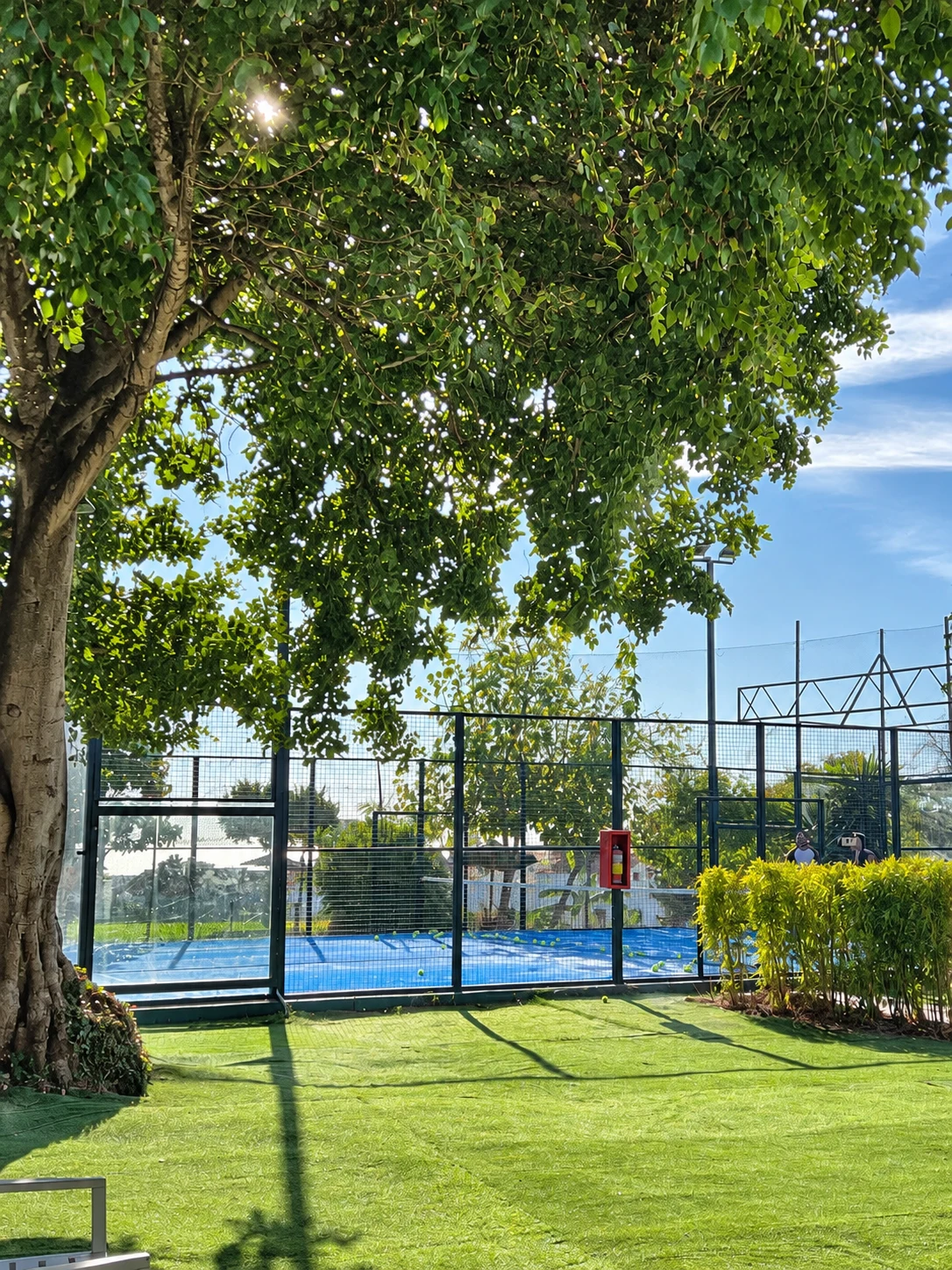 Pista de pádel superior de La Colina, con superficie azul, cerramiento de cristal y árboles alrededor.
